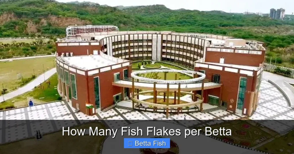 How Many Fish Flakes per Betta