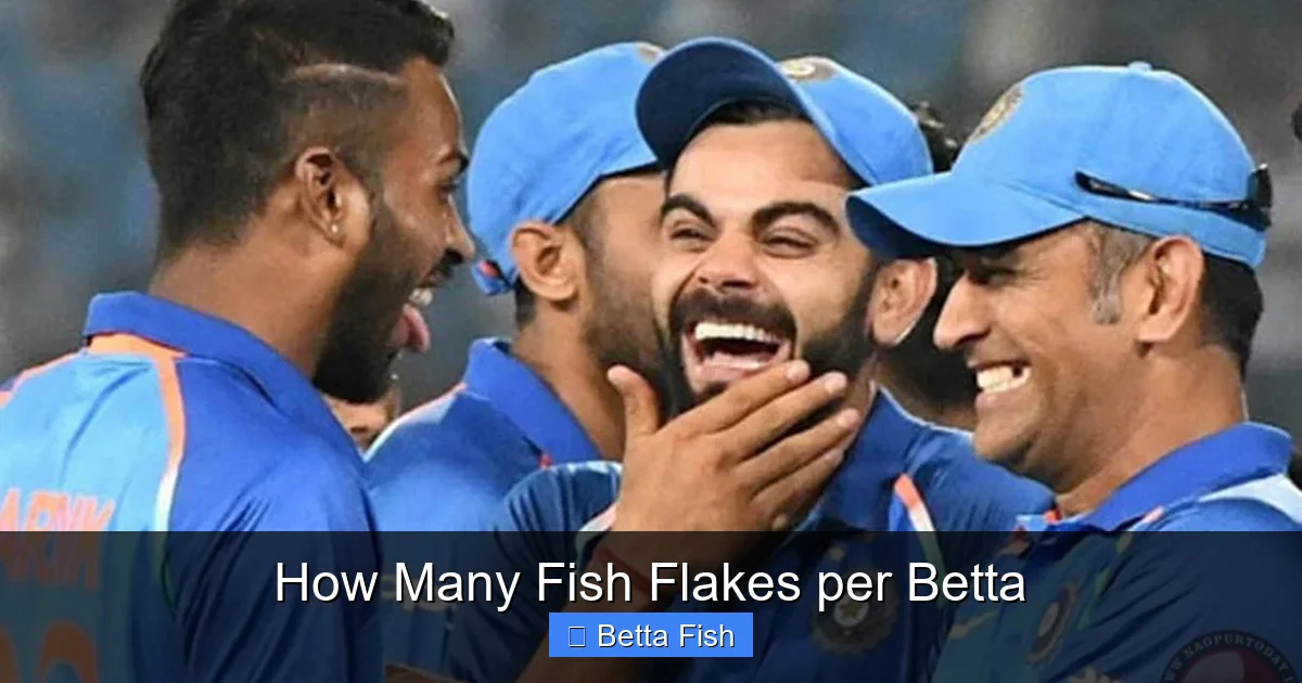 How Many Fish Flakes per Betta