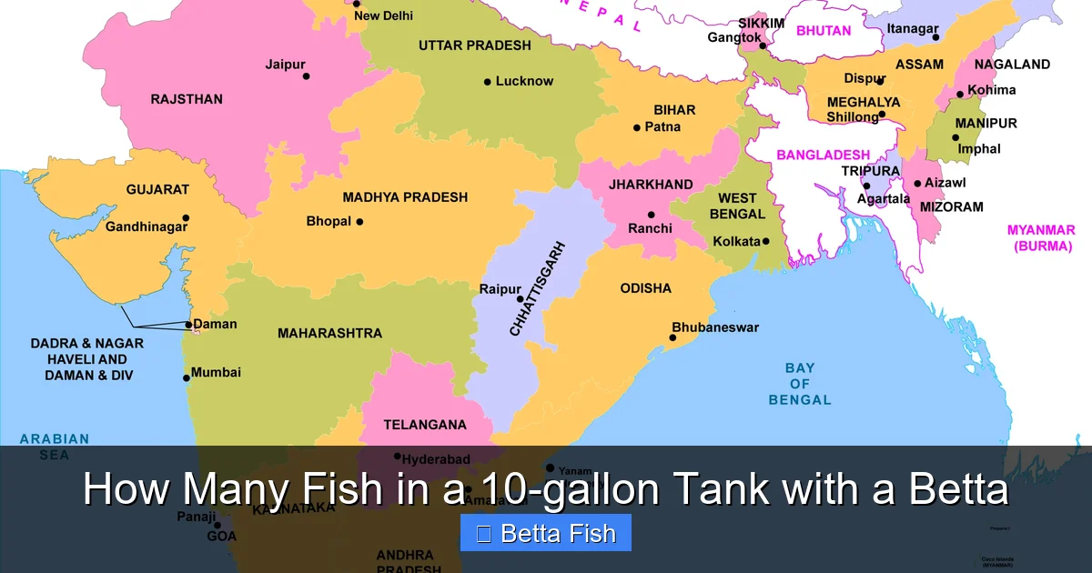 How Many Fish in a 10-gallon Tank with a Betta