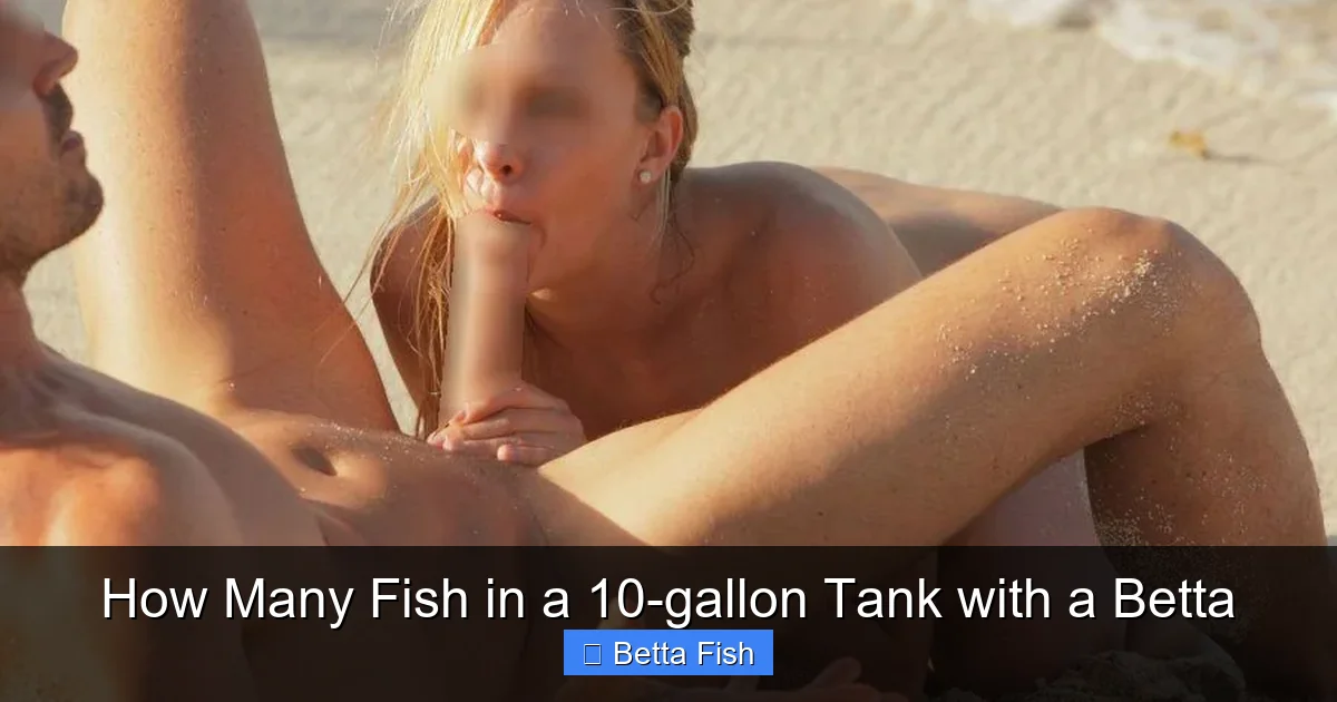How Many Fish in a 10-gallon Tank with a Betta