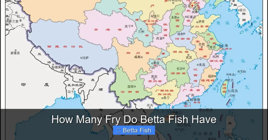 How Many Fry Do Betta Fish Have