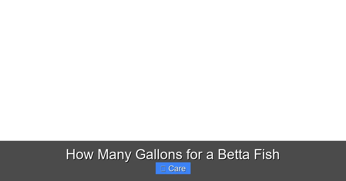 How Many Gallons for a Betta Fish