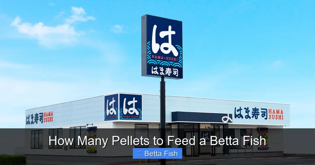 How Many Pellets to Feed a Betta Fish
