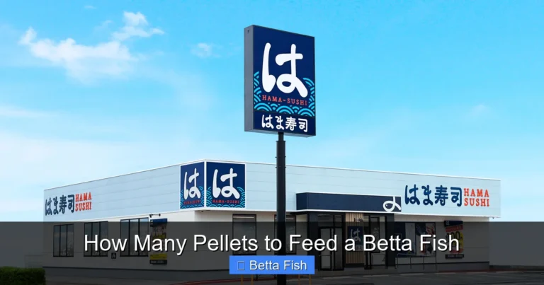 How Many Pellets to Feed a Betta Fish