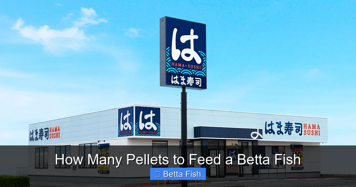 How Many Pellets to Feed a Betta Fish