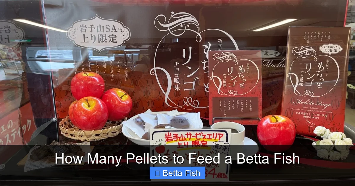How Many Pellets to Feed a Betta Fish