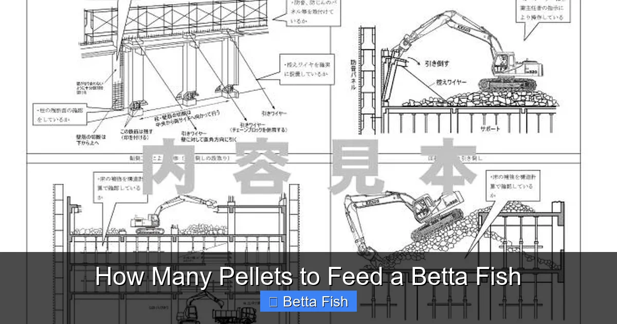 How Many Pellets to Feed a Betta Fish