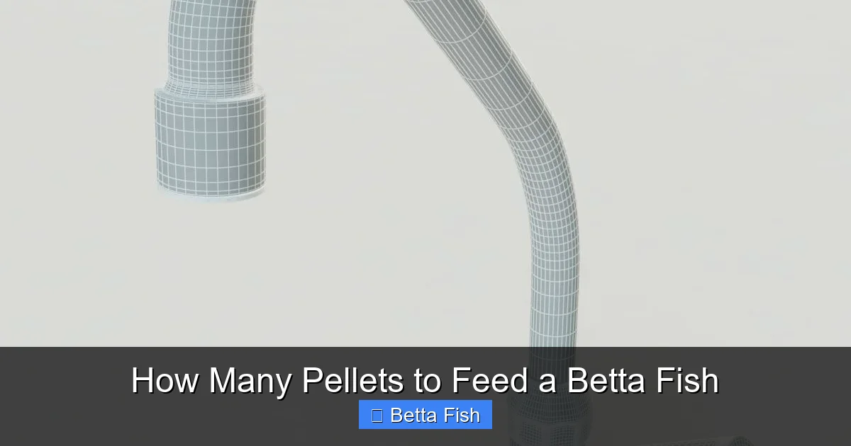 How Many Pellets to Feed a Betta Fish