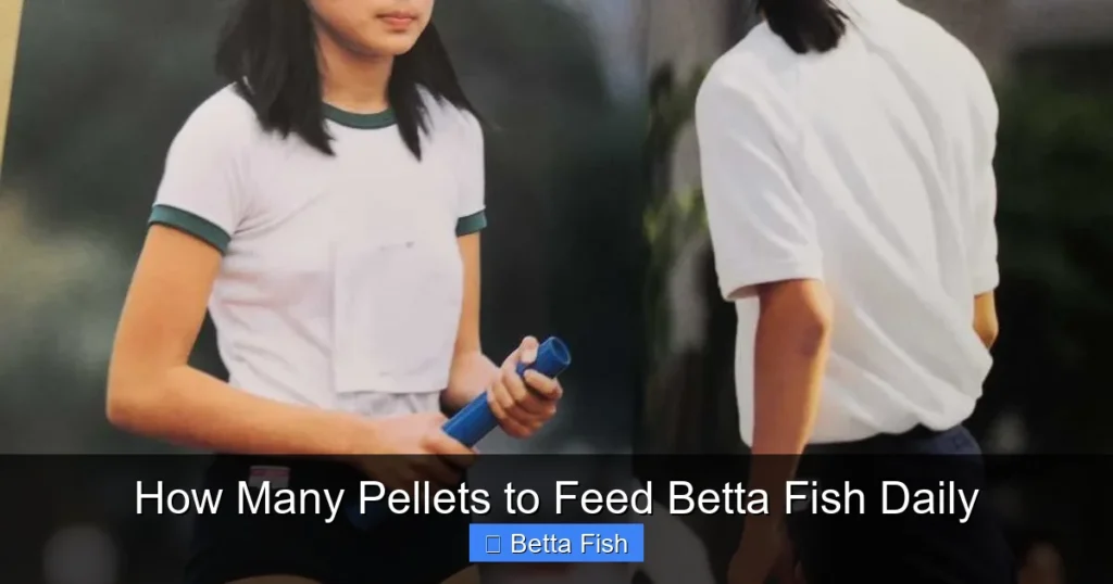How Many Pellets to Feed Betta Fish Daily