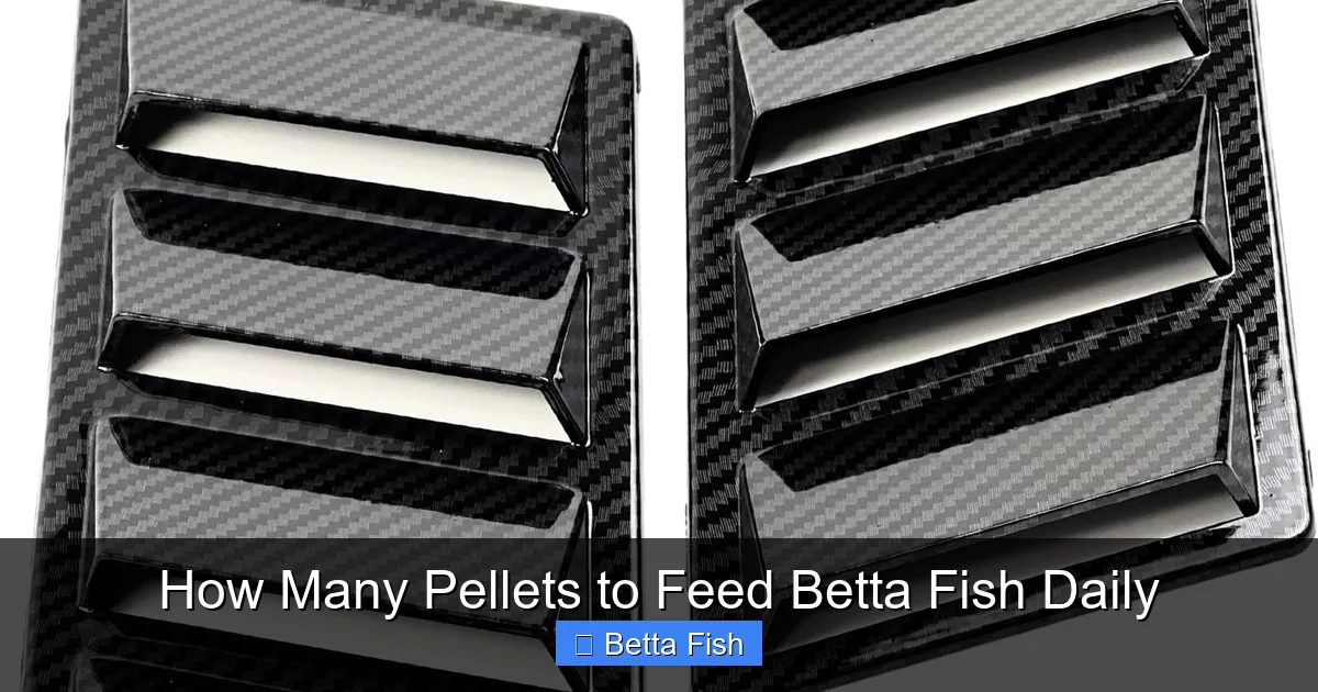 How Many Pellets to Feed Betta Fish Daily