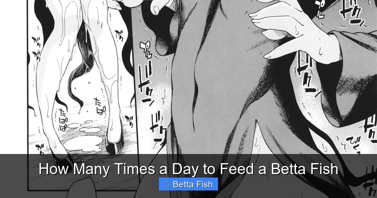 How Many Times a Day to Feed a Betta Fish