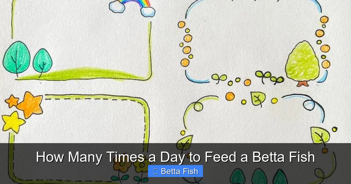 How Many Times a Day to Feed a Betta Fish