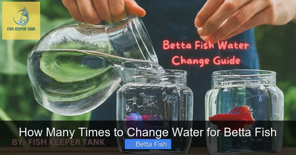 How Many Times to Change Water for Betta Fish