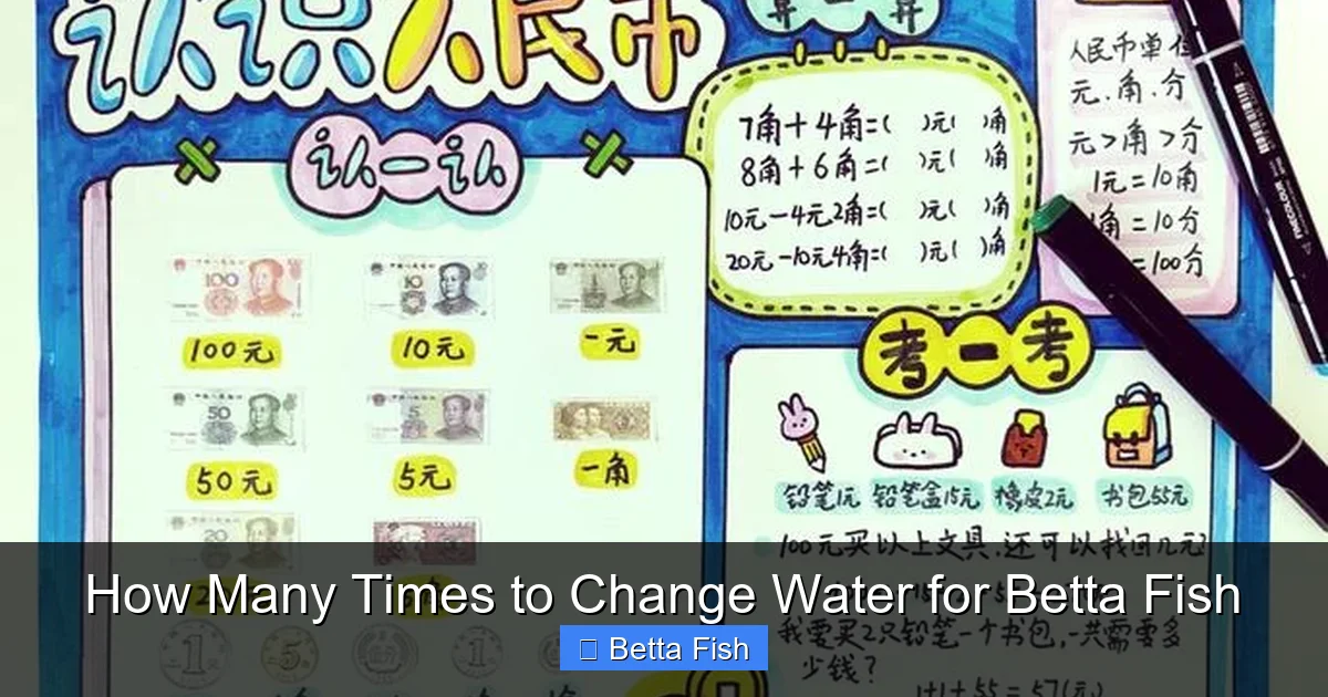How Many Times to Change Water for Betta Fish