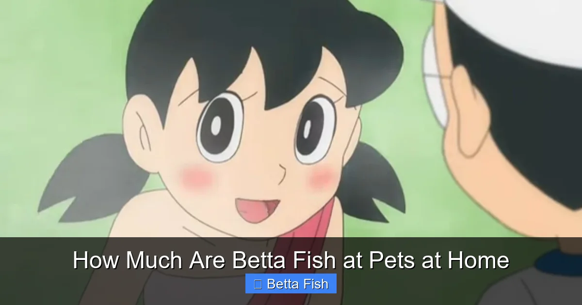 How Much Are Betta Fish at Pets at Home