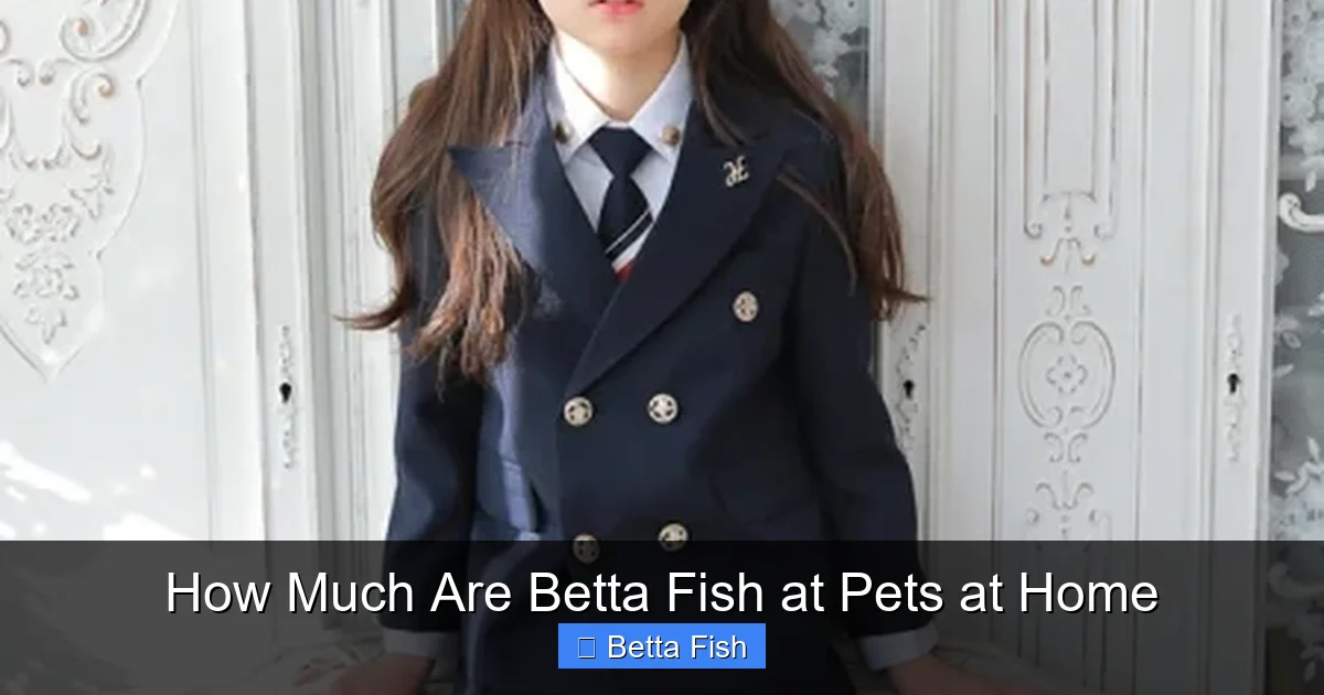 How Much Are Betta Fish at Pets at Home