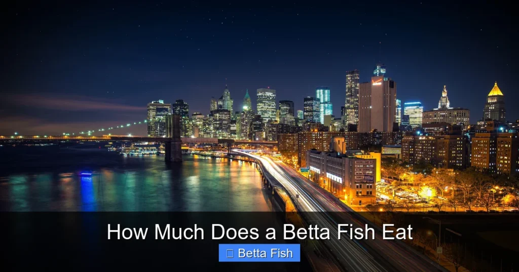 How Much Does a Betta Fish Eat