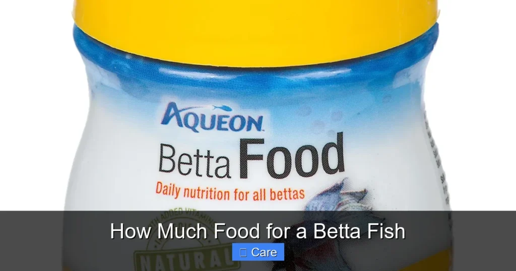 How Much Food for a Betta Fish
