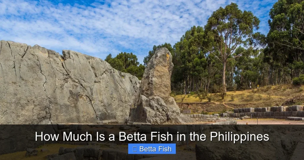 How Much Is a Betta Fish in the Philippines