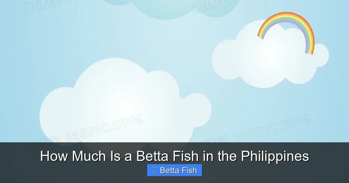 How Much Is a Betta Fish in the Philippines