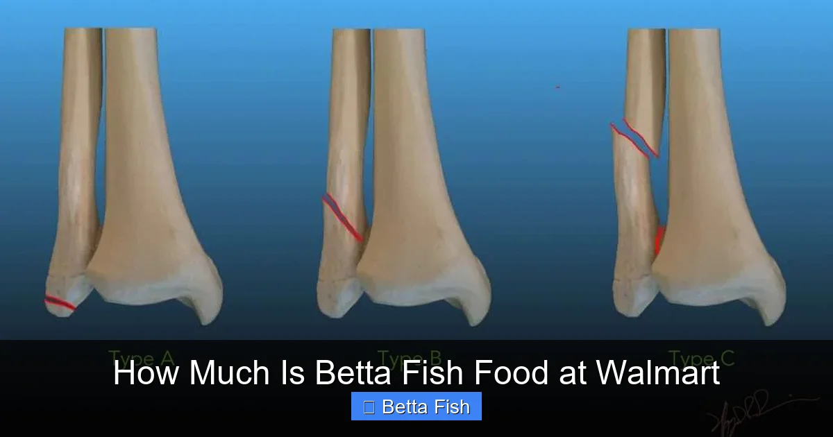 How Much Is Betta Fish Food at Walmart