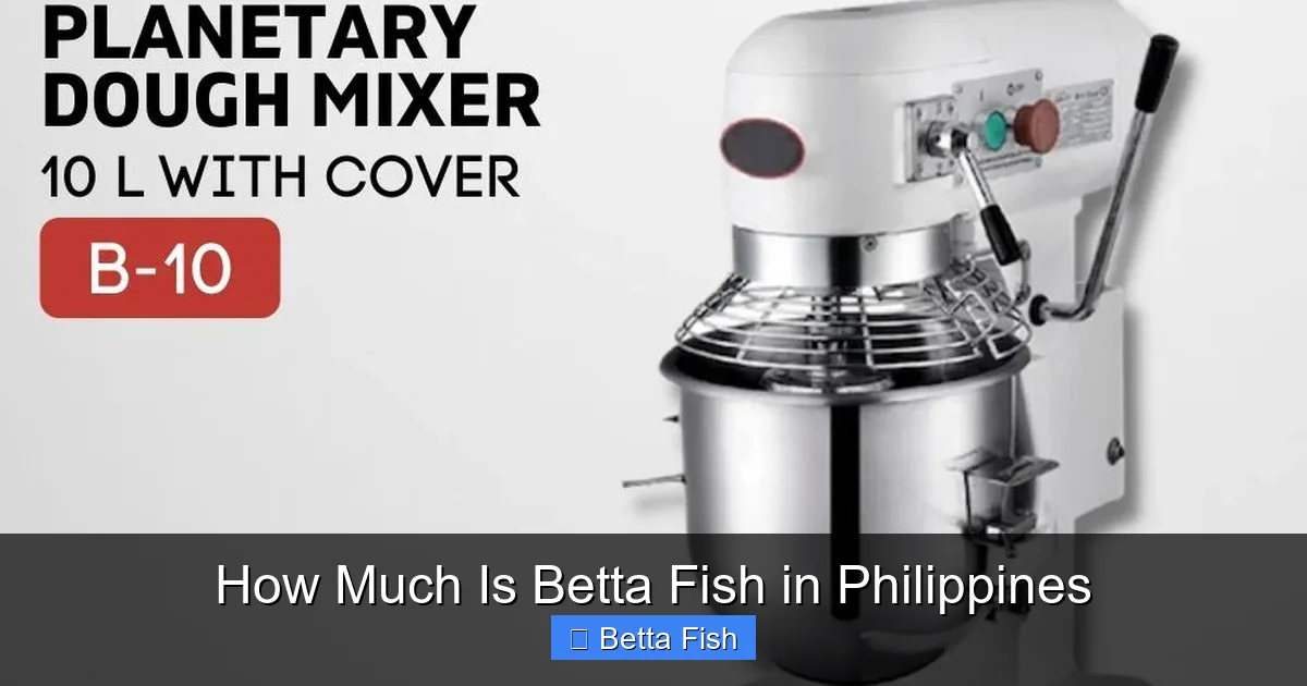 How Much Is Betta Fish in Philippines