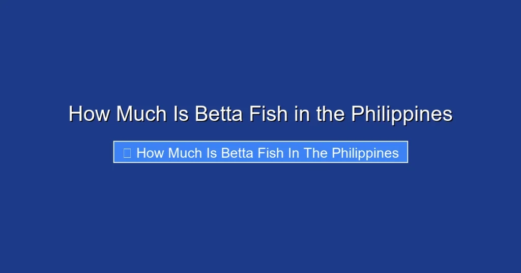 How Much Is Betta Fish in the Philippines