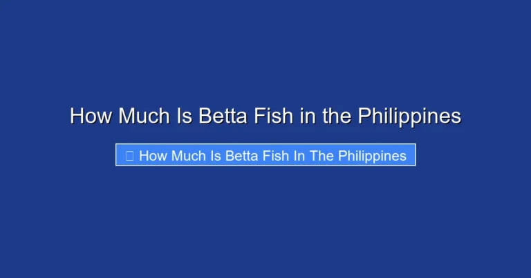 How Much Is Betta Fish in the Philippines