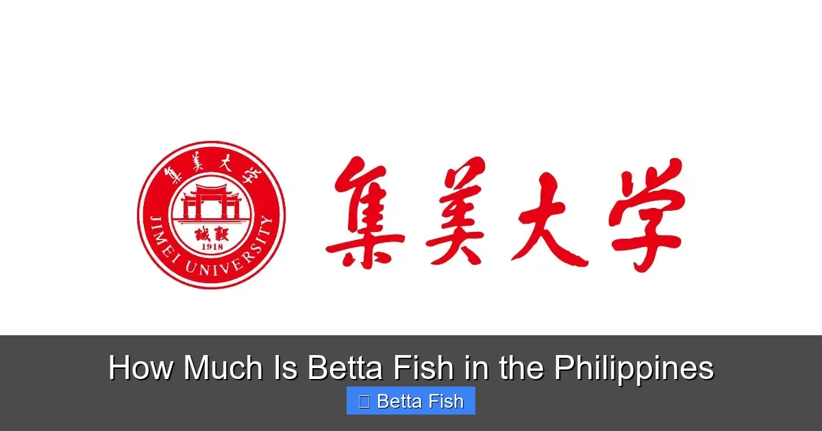 How Much Is Betta Fish in the Philippines