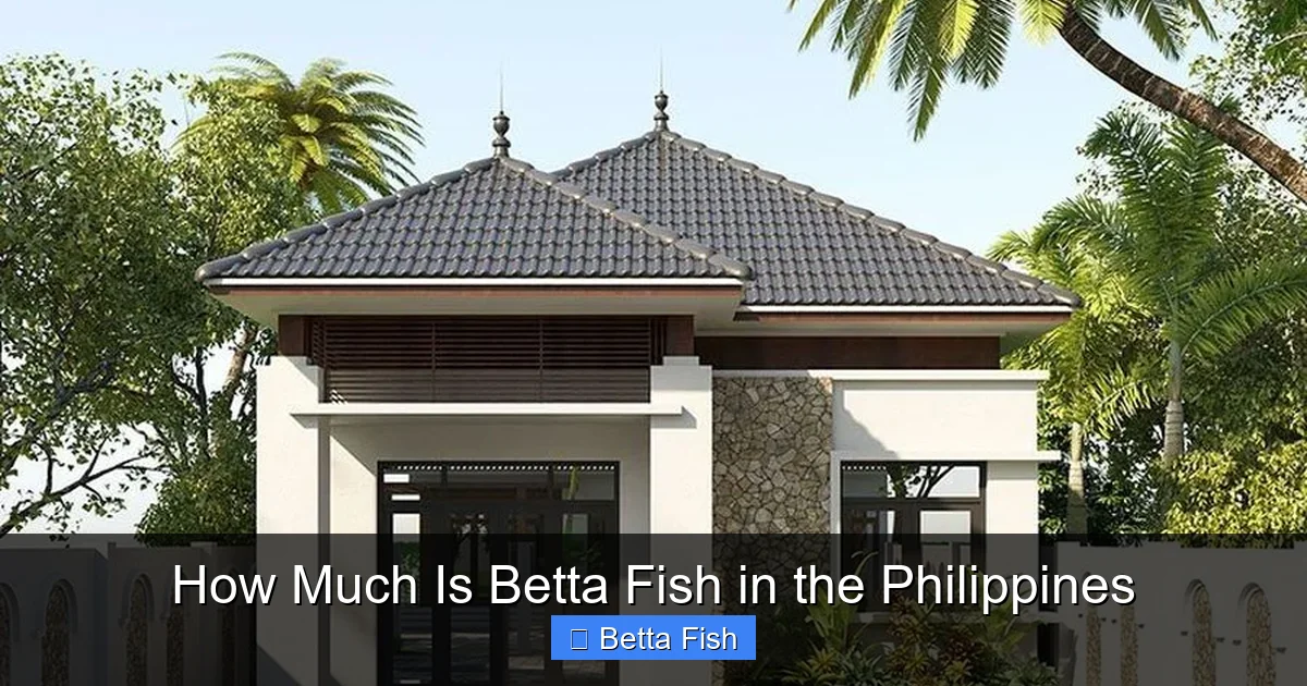 How Much Is Betta Fish in the Philippines