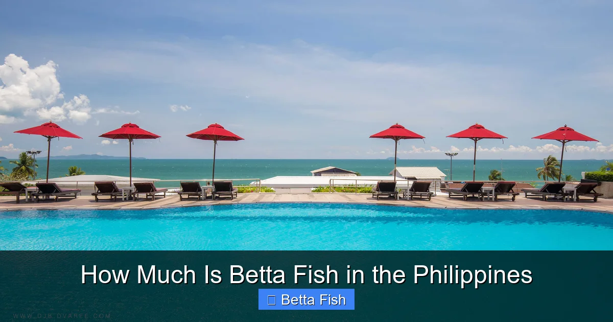 How Much Is Betta Fish in the Philippines
