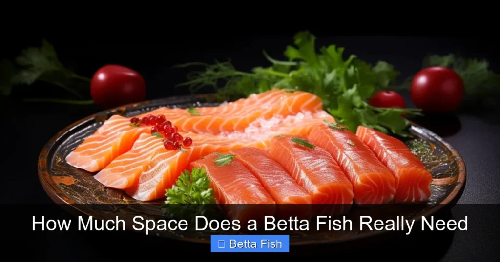 How Much Space Does a Betta Fish Really Need