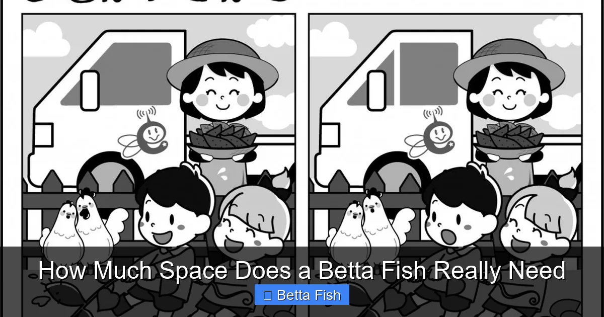 How Much Space Does a Betta Fish Really Need