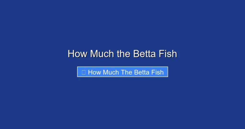 How Much the Betta Fish