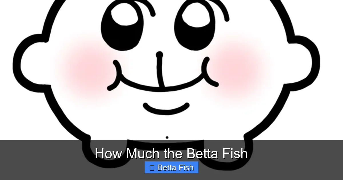 How Much the Betta Fish