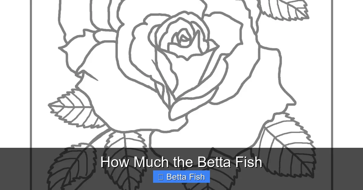 How Much the Betta Fish