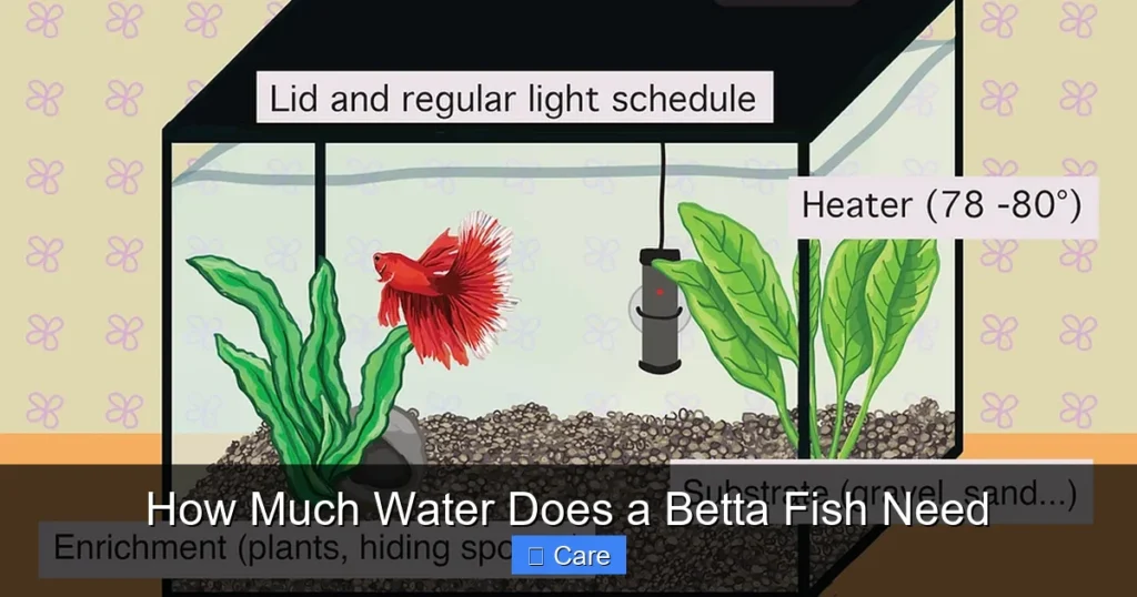 How Much Water Does a Betta Fish Need