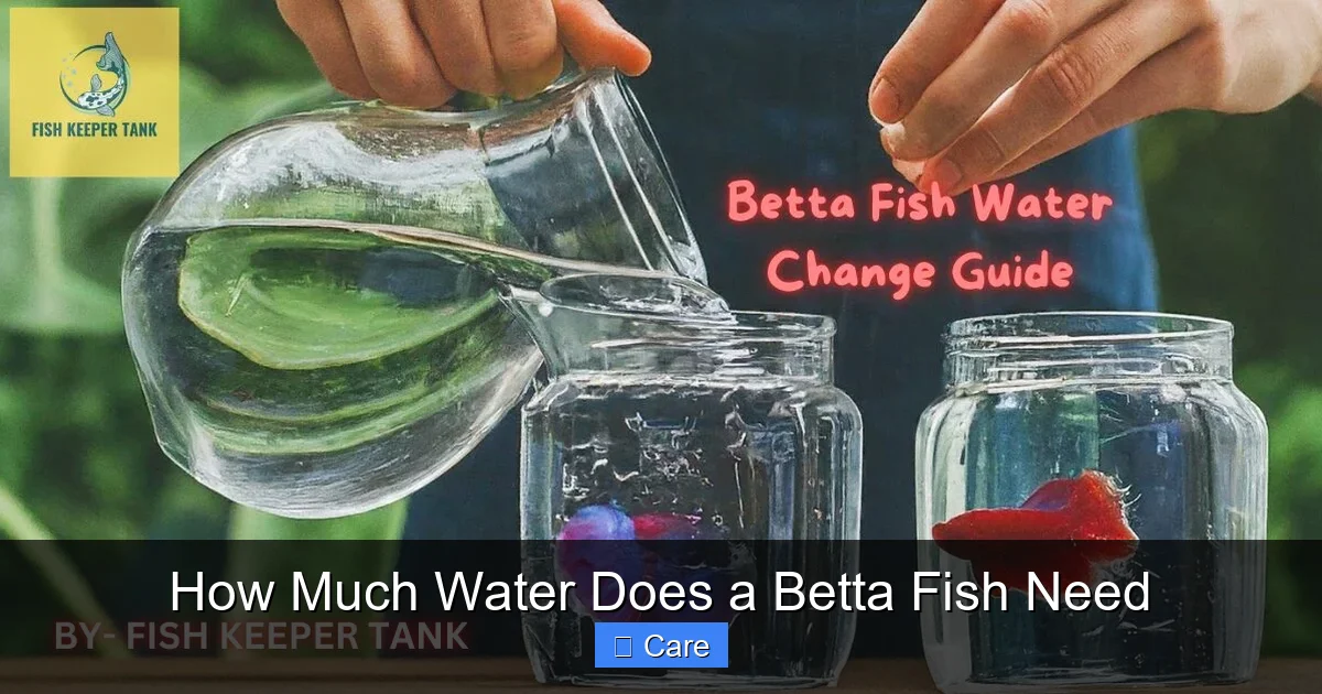 How Much Water Does a Betta Fish Need
