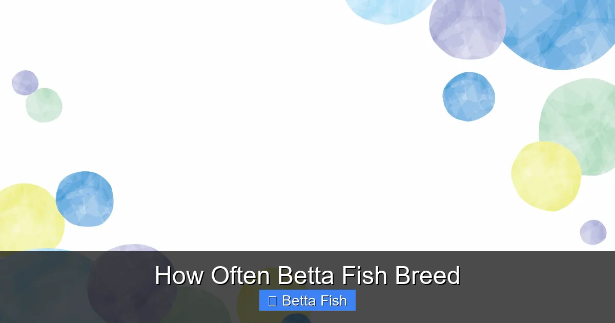 How Often Betta Fish Breed