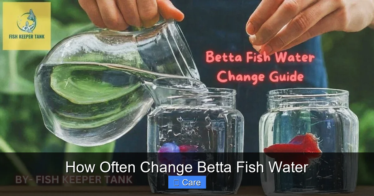 How Often Change Betta Fish Water