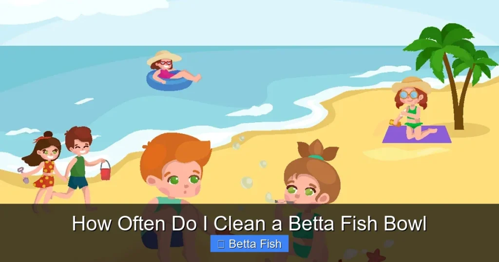 How Often Do I Clean a Betta Fish Bowl