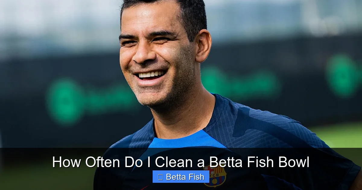 How Often Do I Clean a Betta Fish Bowl