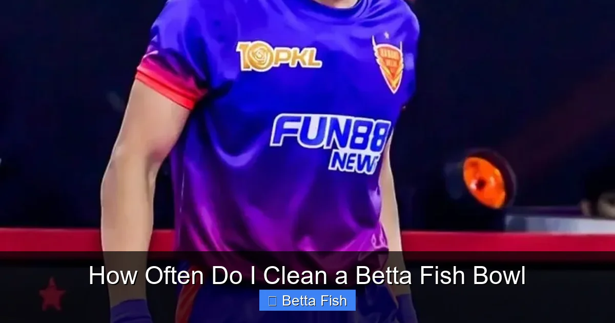 How Often Do I Clean a Betta Fish Bowl