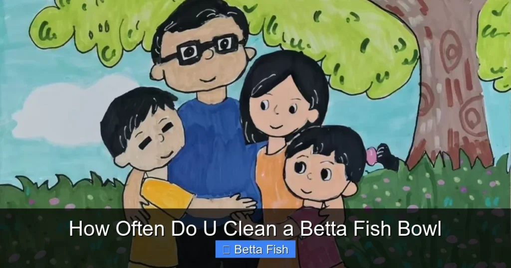 How Often Do U Clean a Betta Fish Bowl