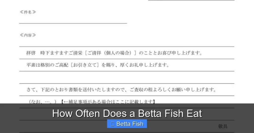 How Often Does a Betta Fish Eat