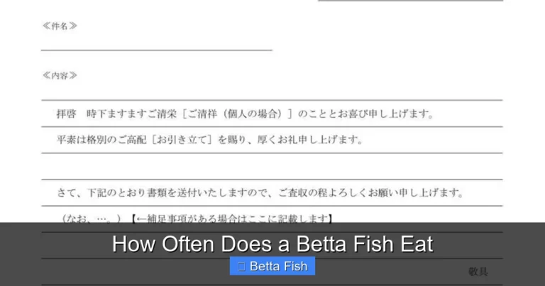 How Often Does a Betta Fish Eat