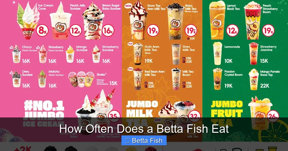 How Often Does a Betta Fish Eat