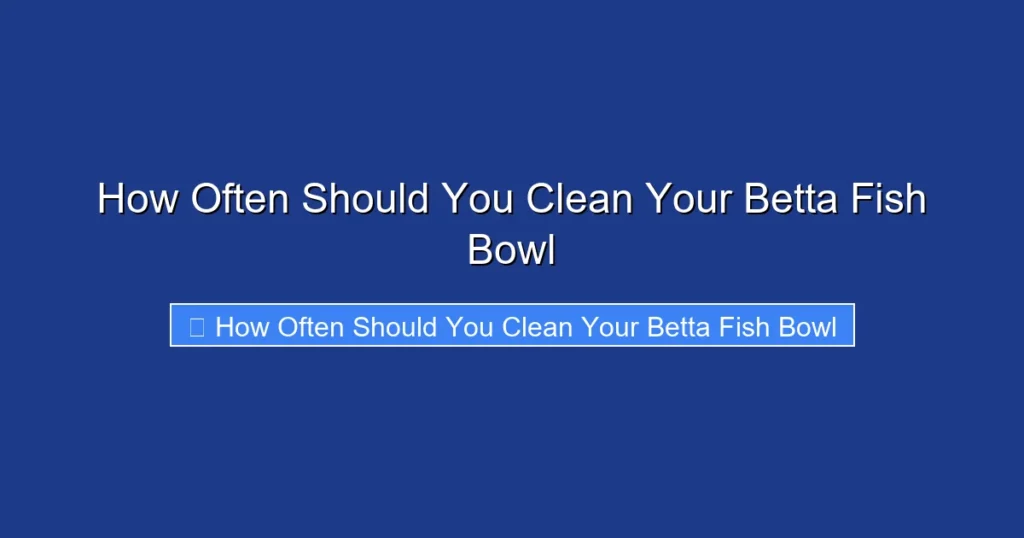 How Often Should You Clean Your Betta Fish Bowl