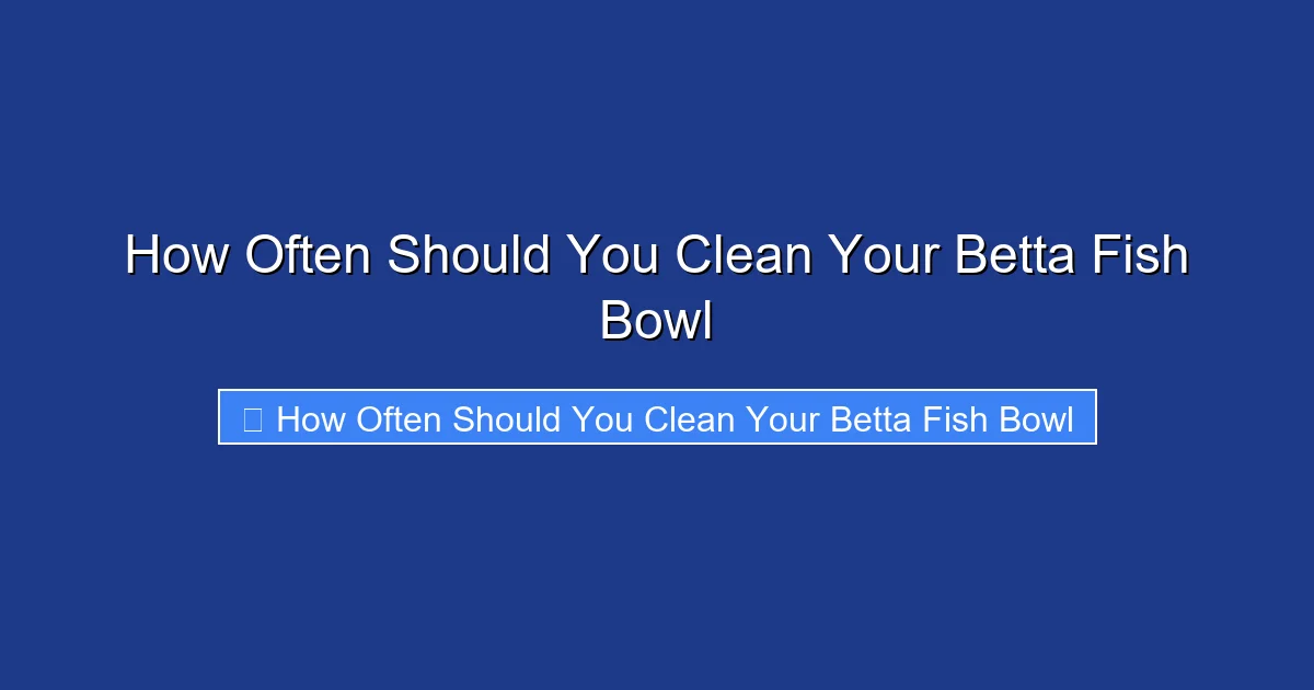 How Often Should You Clean Your Betta Fish Bowl