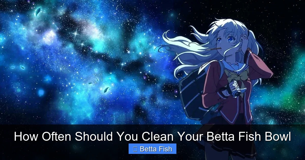How Often Should You Clean Your Betta Fish Bowl